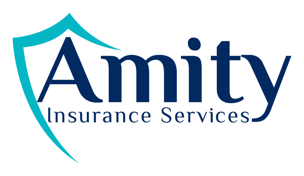 AMITY COMMERCIAL BROKER LLC COMPREHENSIVE AND GENERAL NETWORK